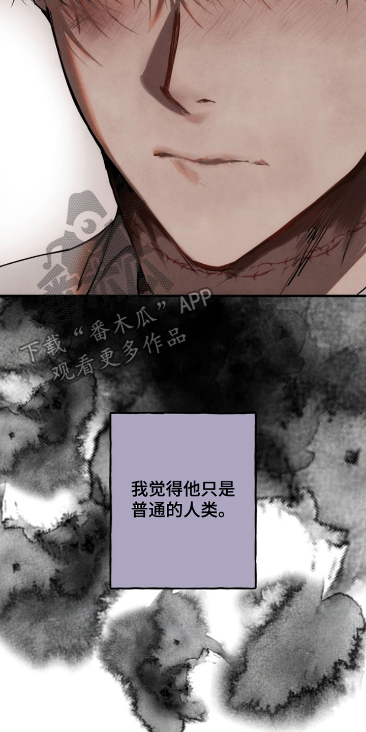 信徒圣痕漫画,第13话2图