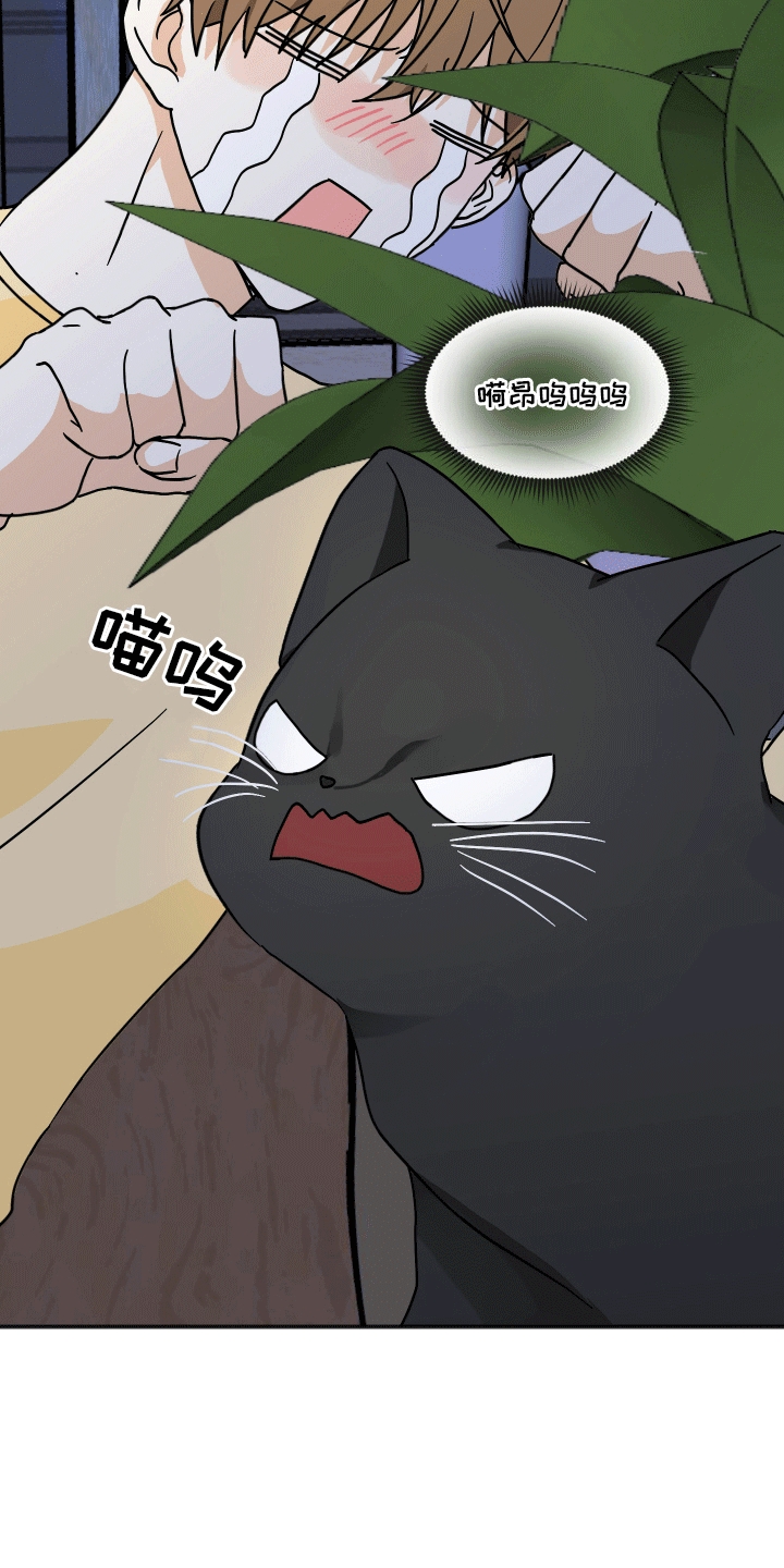 跨次元定制漫画,第4话2图