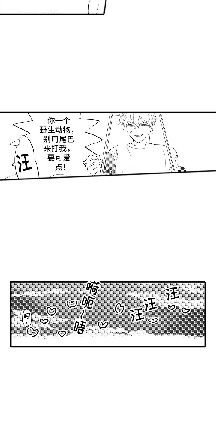 双锁结编法图解步骤漫画,第21话1图