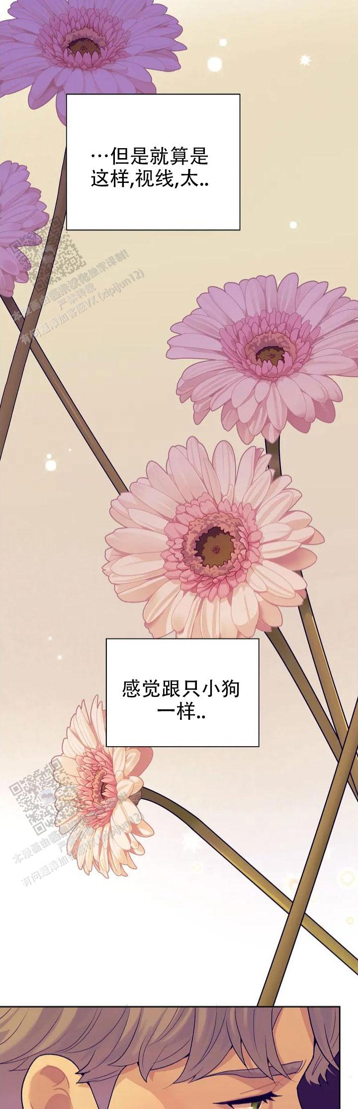 超速心动漫画,第5话2图