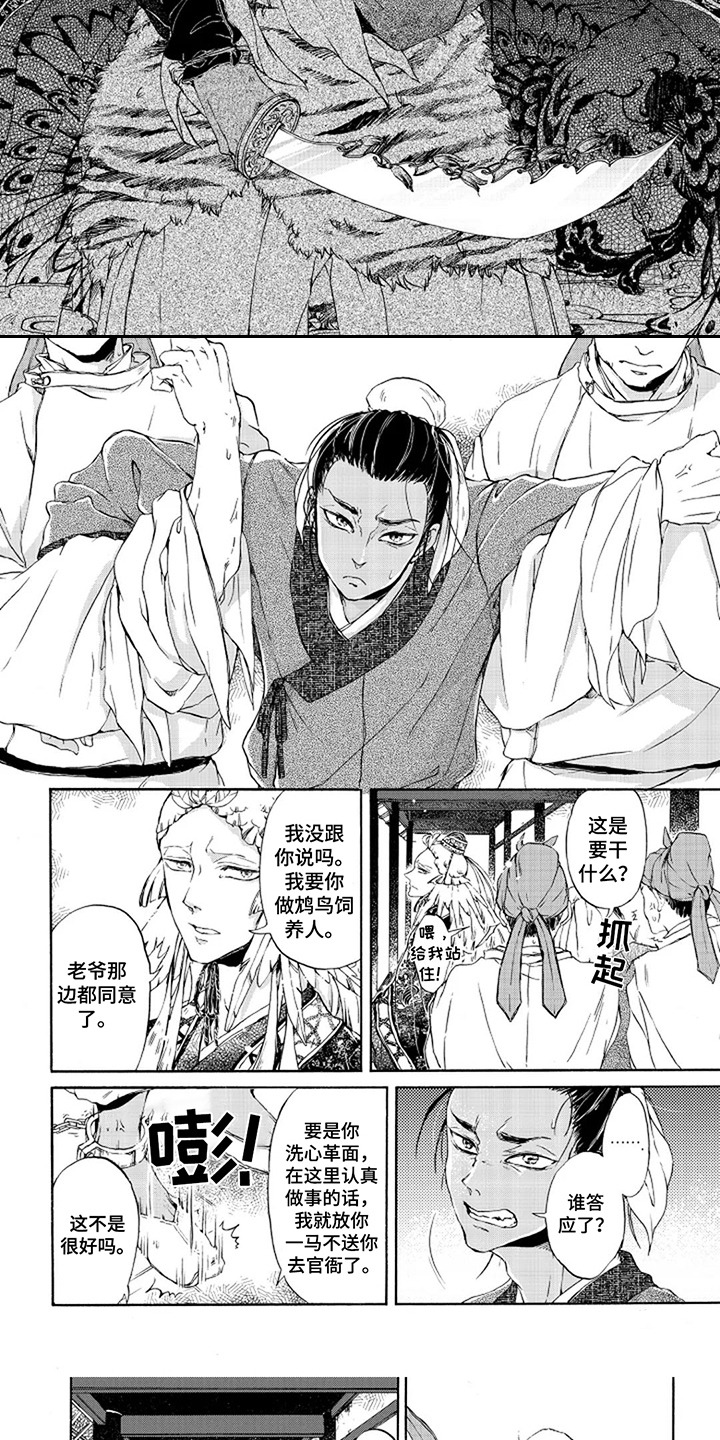 圣洁羽翼漫画,第3话2图