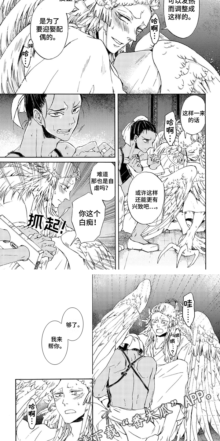 圣羽什么意思漫画,第9话2图