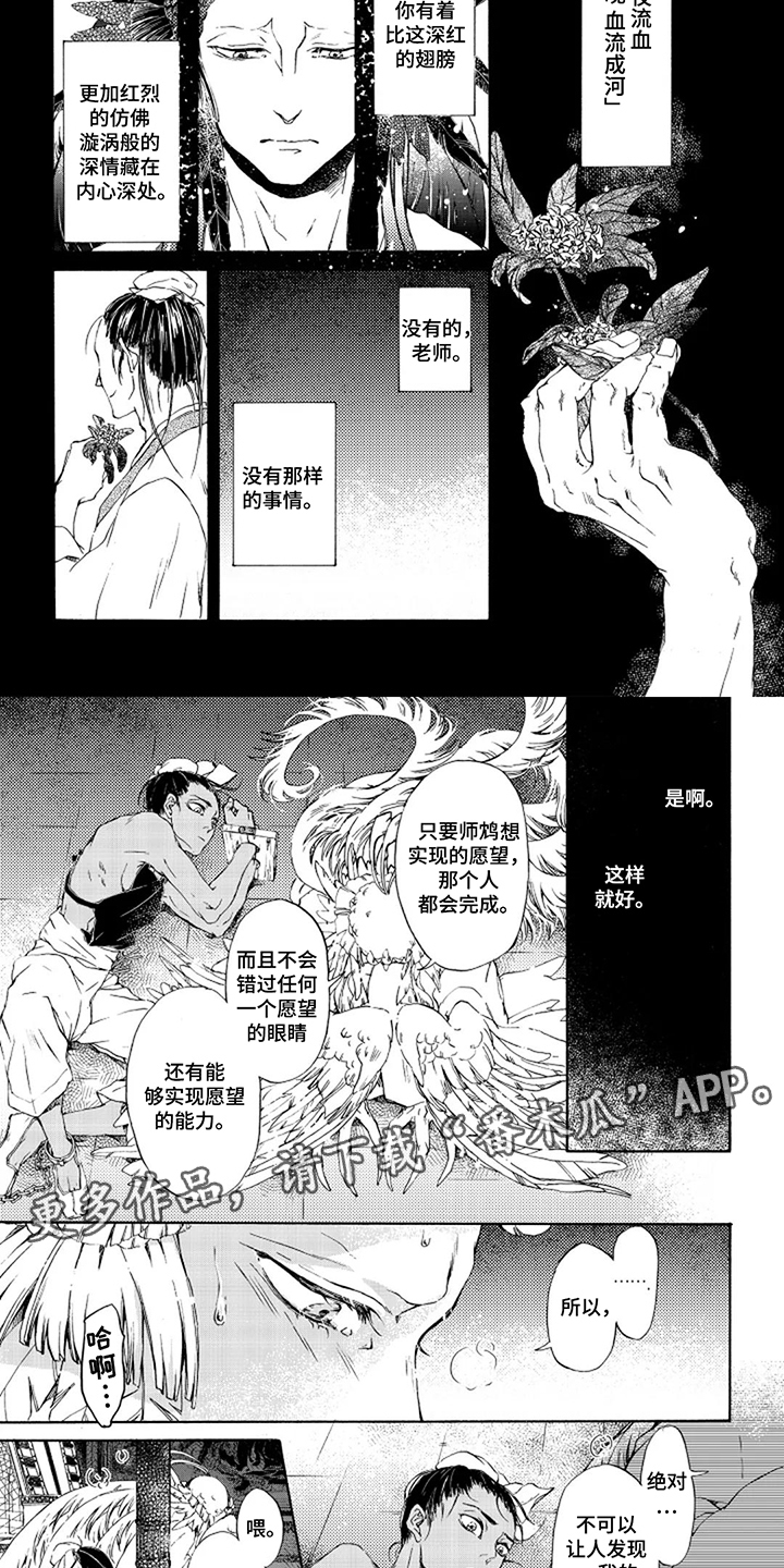 圣洁羽翼漫画,第9话2图