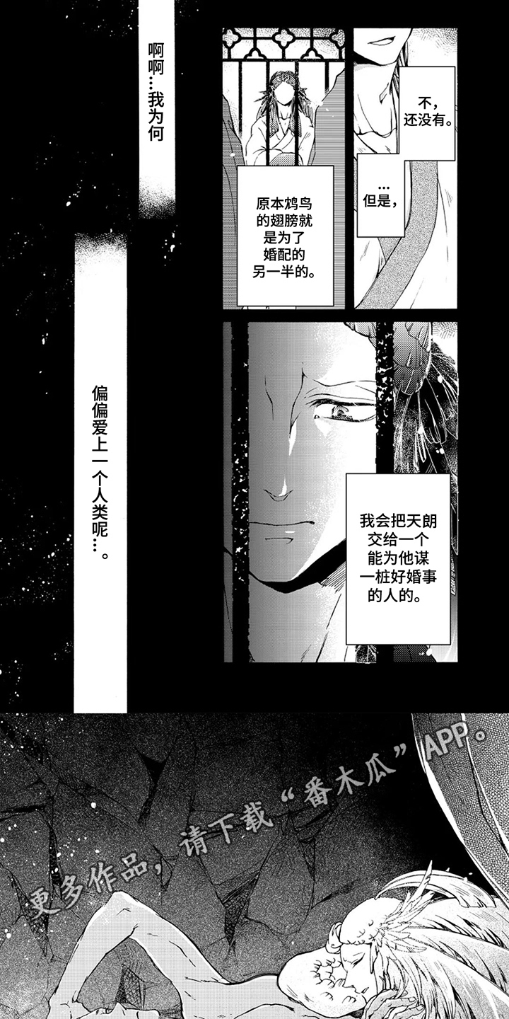 圣洁羽翼漫画,第17话2图