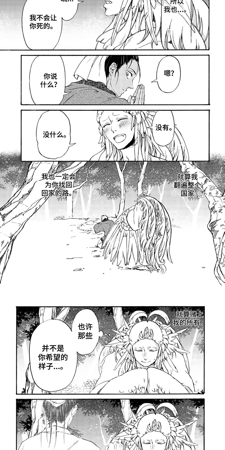 圣洁羽翼漫画,第29话2图