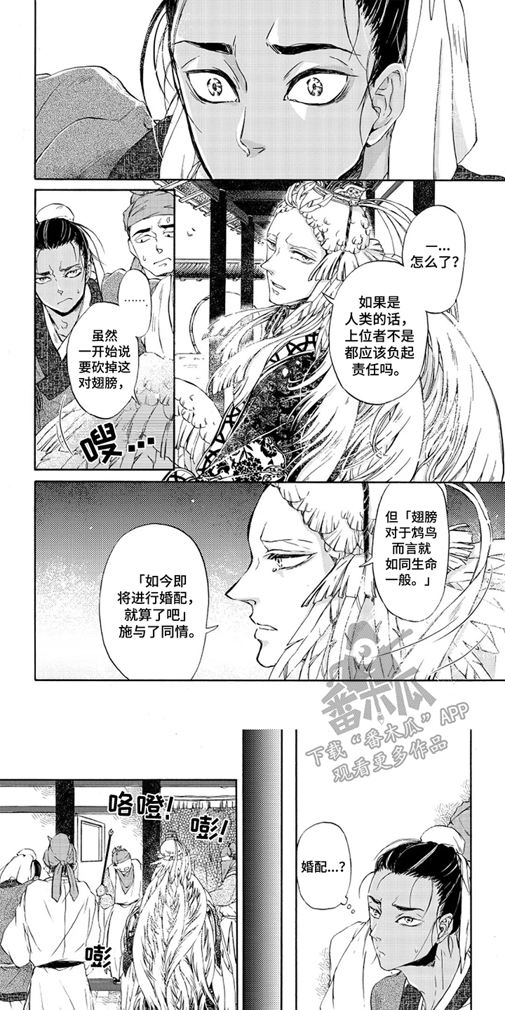 圣洁羽翼漫画,第4话1图