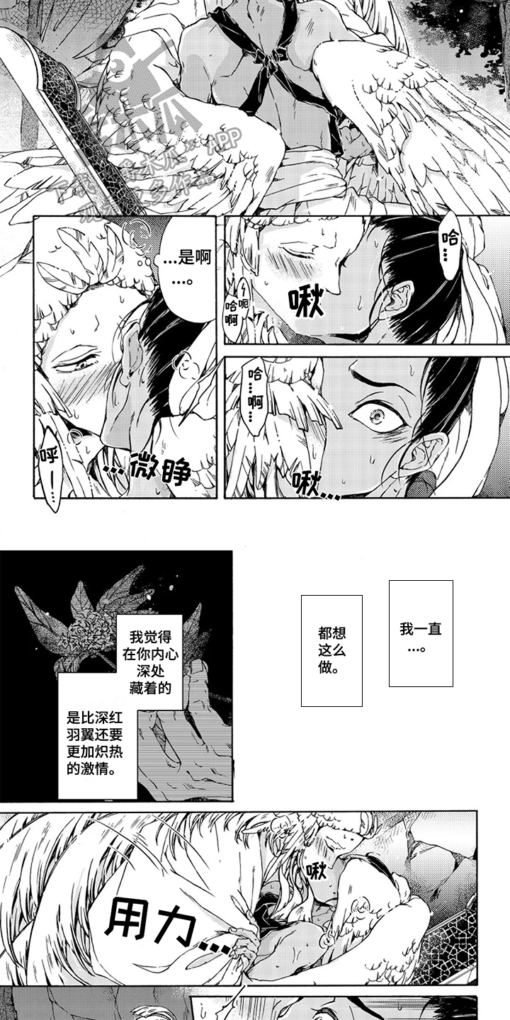 圣洁羽翼漫画,第16话1图