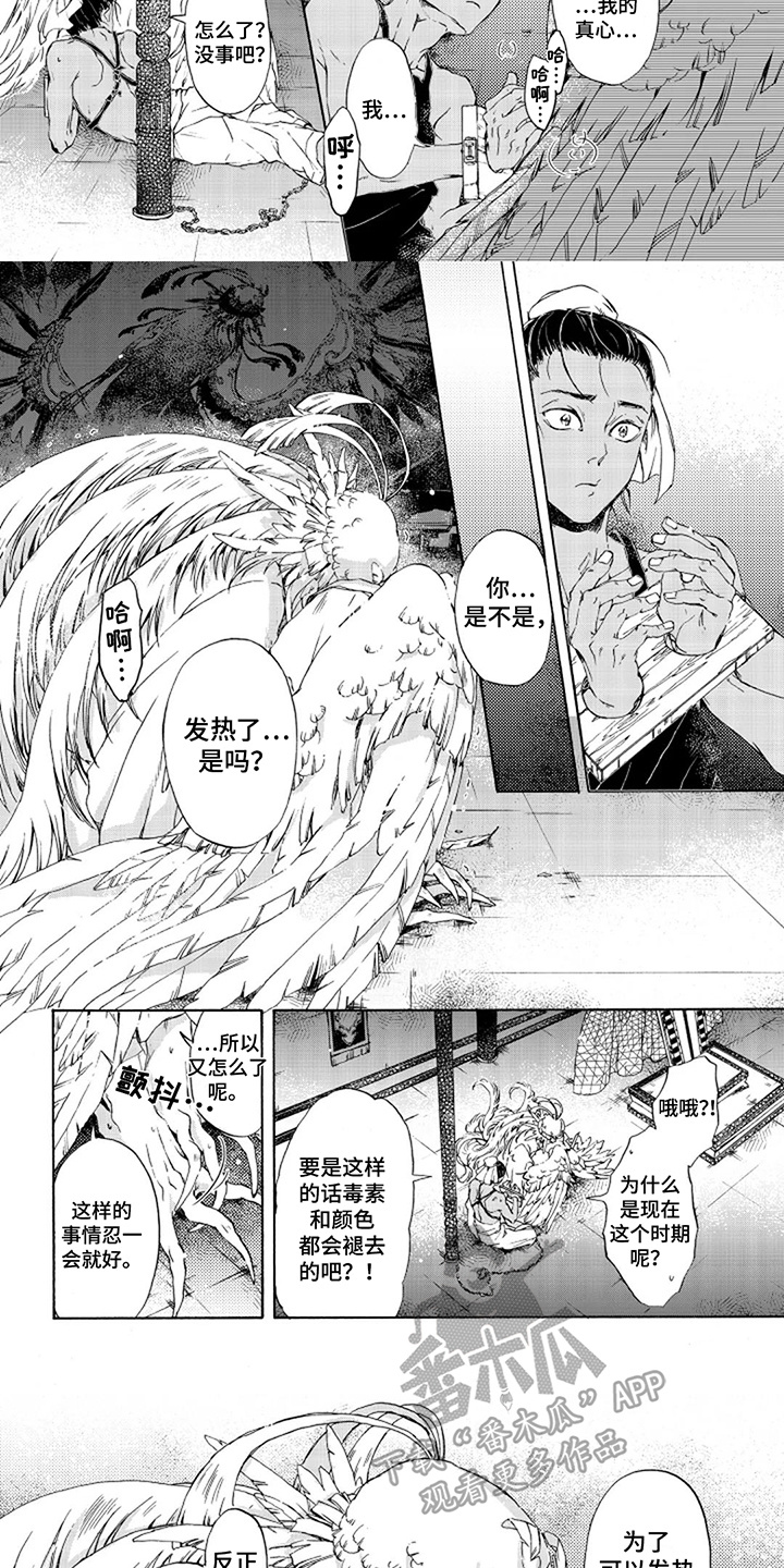 圣羽什么意思漫画,第9话1图