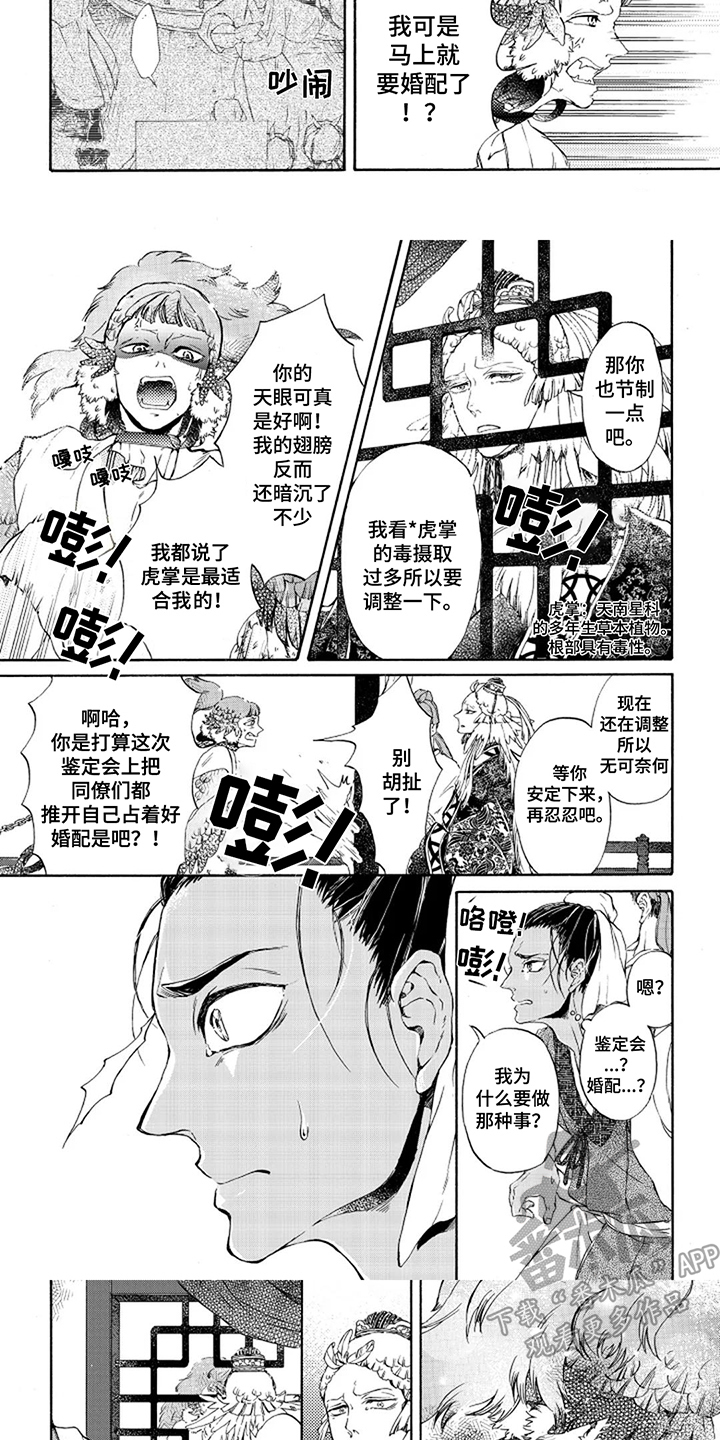 圣洁羽翼漫画,第4话1图