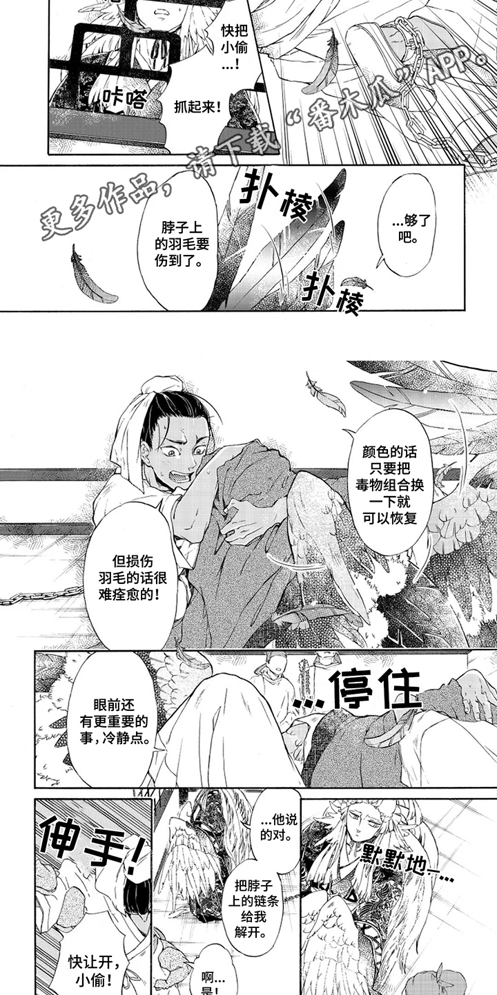 圣洁羽翼漫画,第4话1图