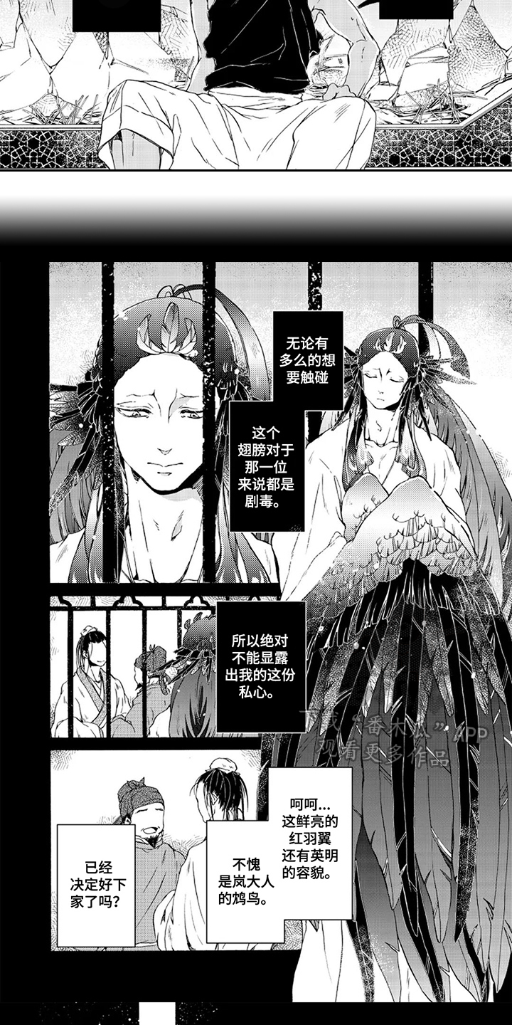 圣洁羽翼漫画,第17话1图