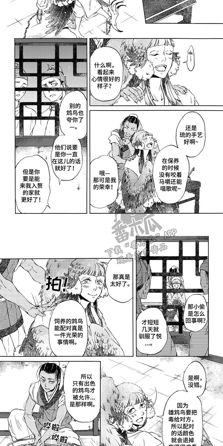 圣洁羽翼漫画,第4话1图