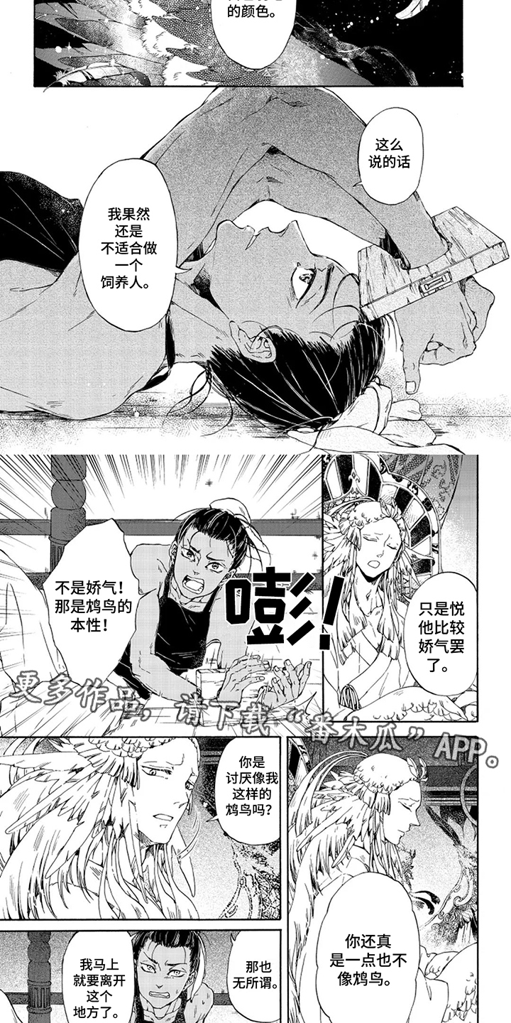 圣羽什么意思漫画,第8话2图
