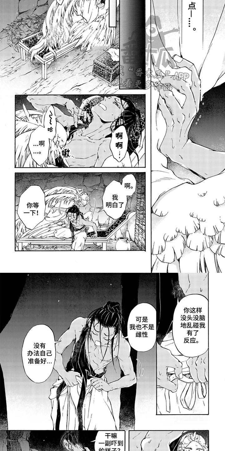 圣洁羽翼漫画,第17话1图