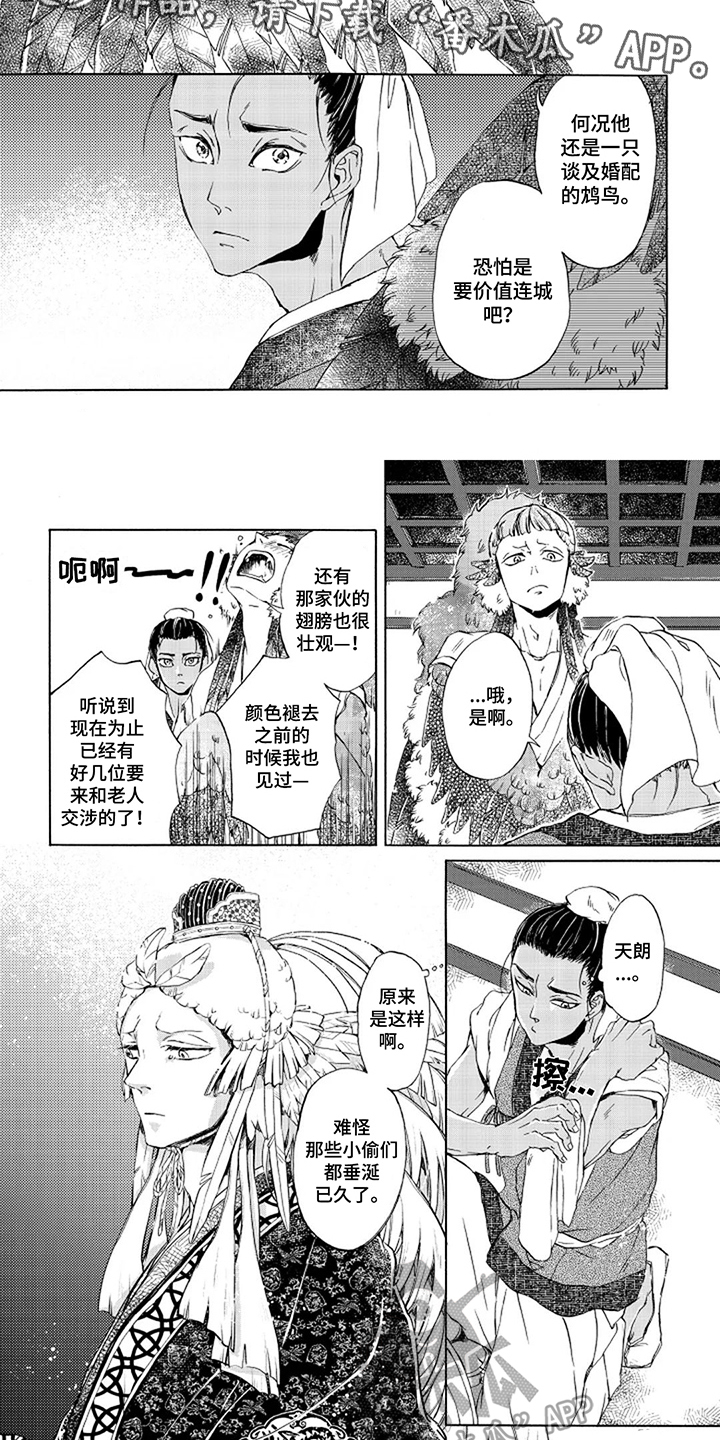 圣洁羽翼漫画,第5话1图