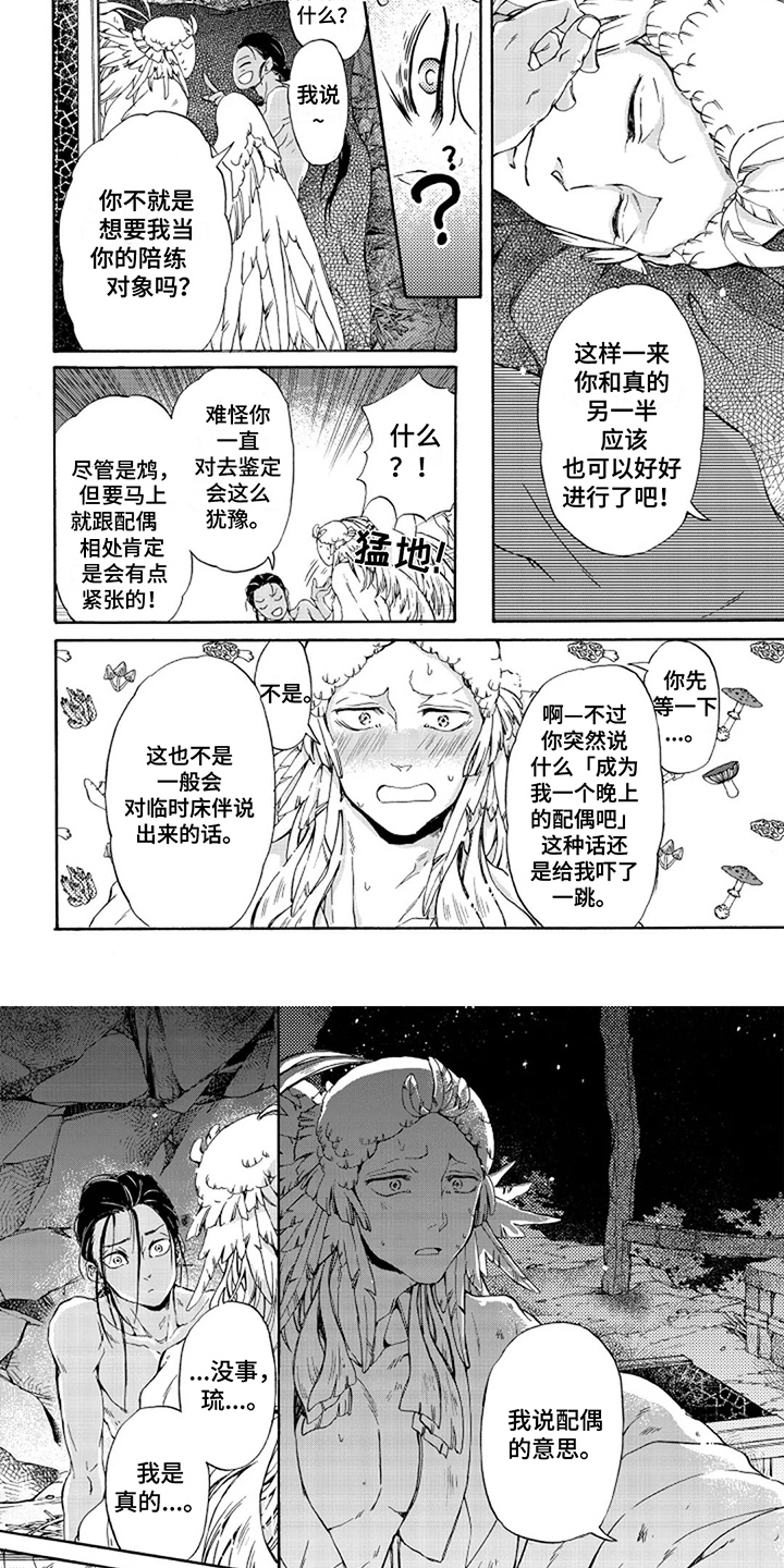 圣洁羽翼漫画,第18话1图