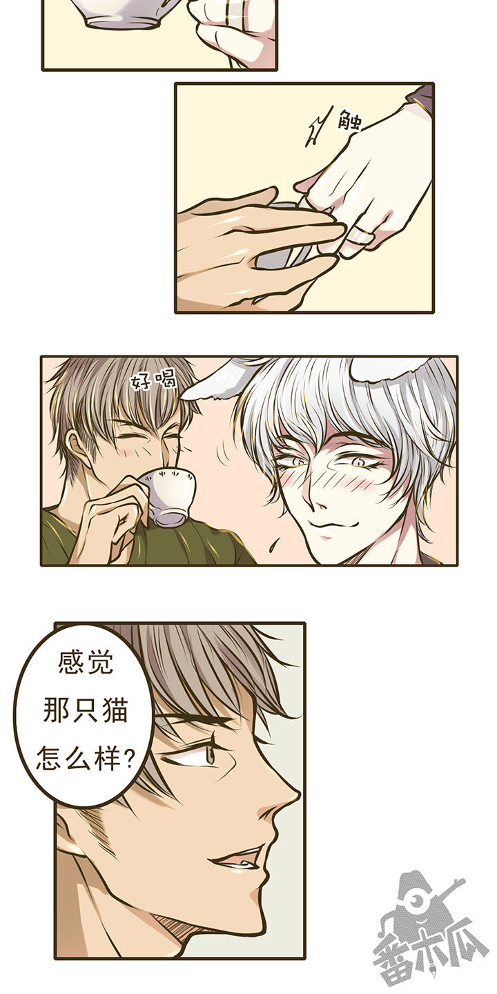 绅士与山猫漫画,第6话2图