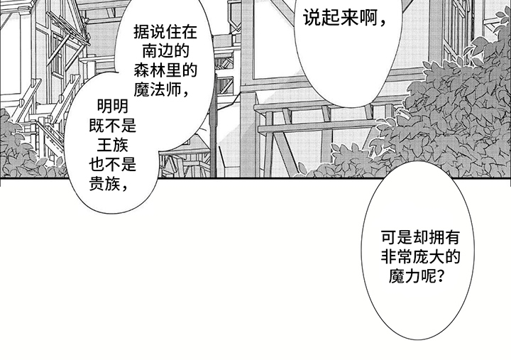 森林里的魔法师漫画,第24话2图