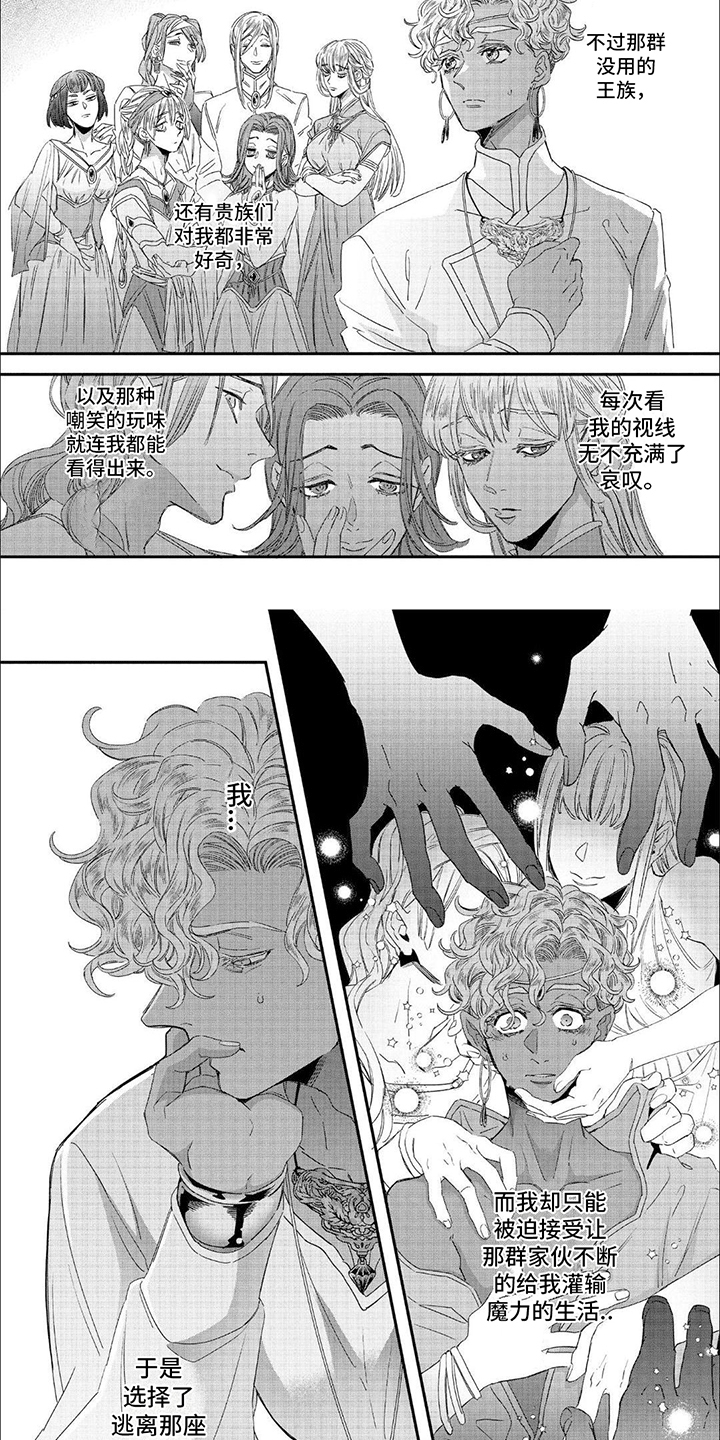 森林里的魔法师漫画,第24话2图