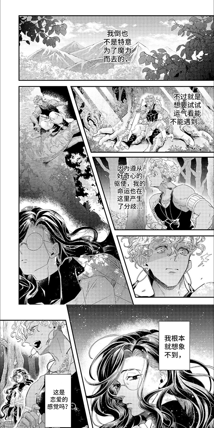 森林里的魔法师漫画,第25话1图