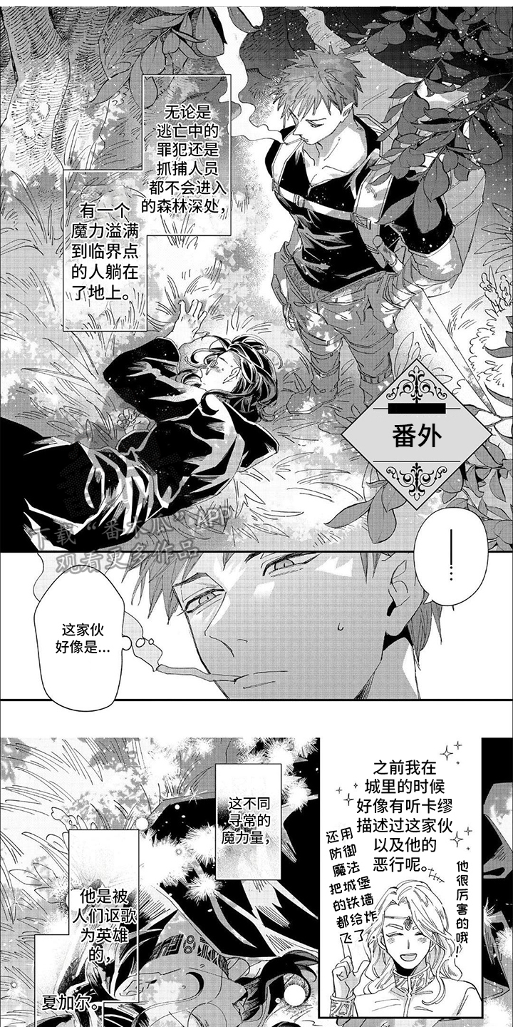 森林里的魔法师漫画,第22话1图