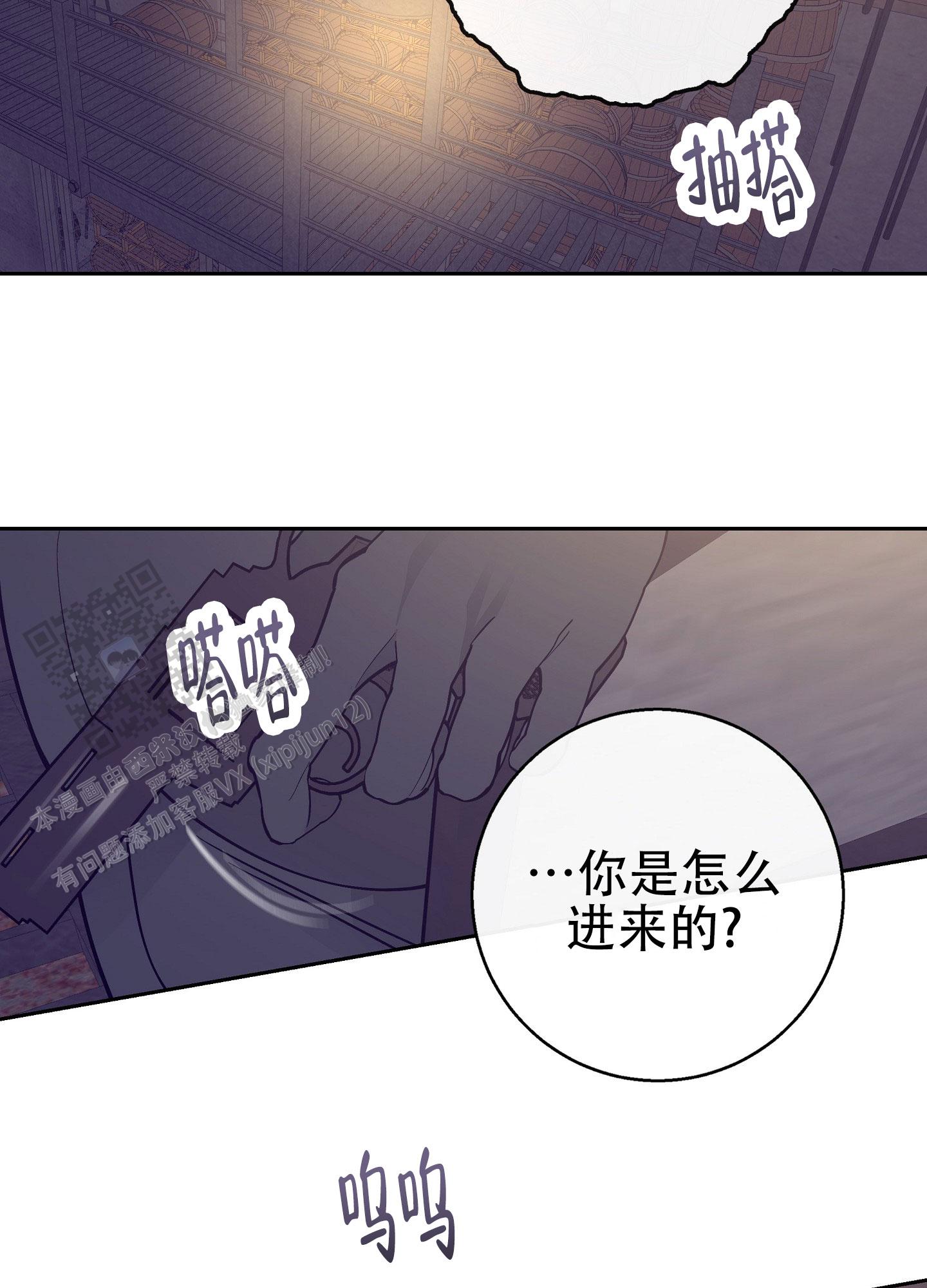 阁楼的注视漫画又叫什么漫画,第9话2图