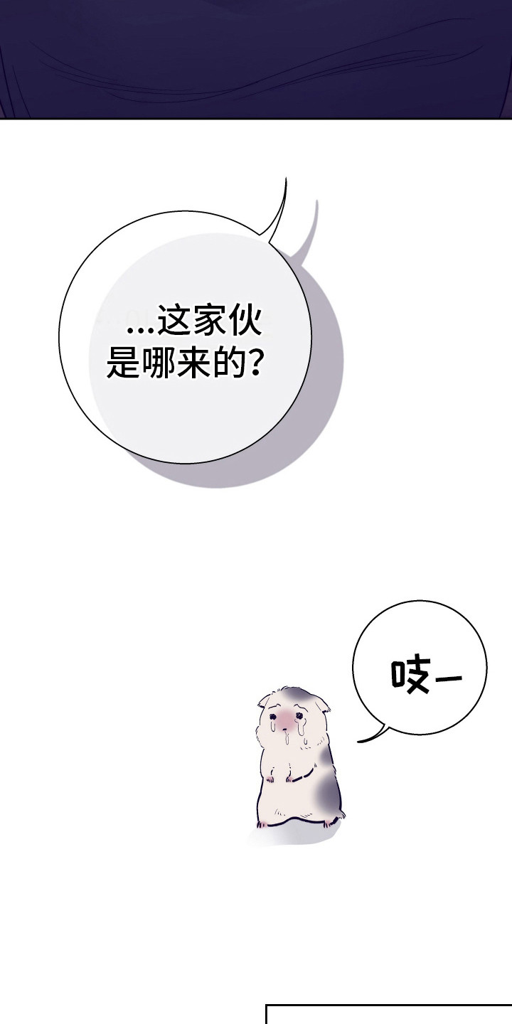 五开门与小老鼠漫画,第8话1图