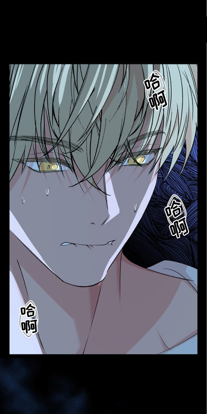 高墙外的混乱漫画,第4话1图