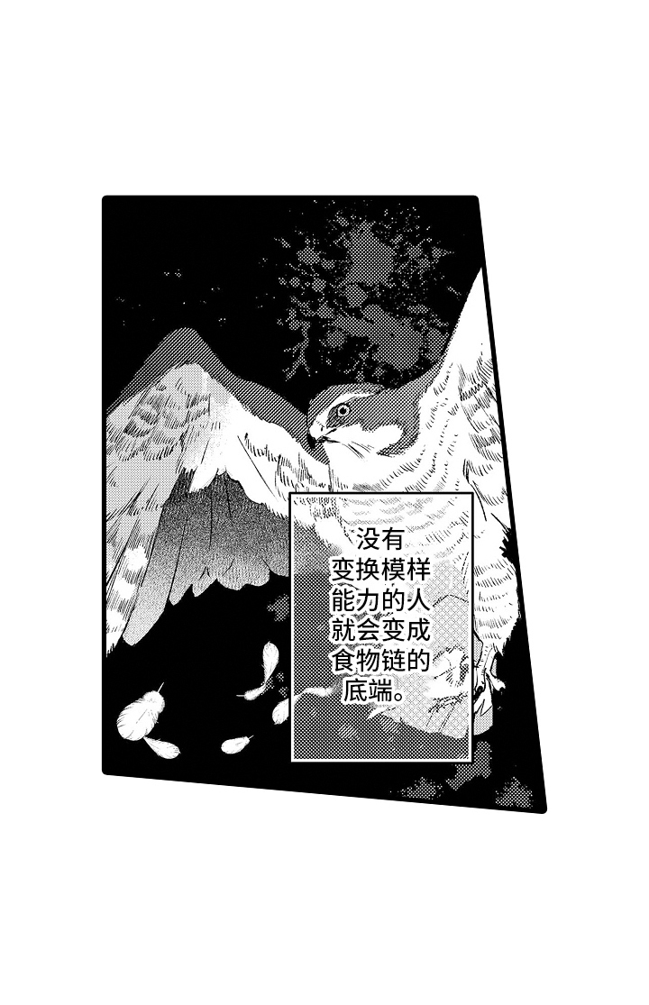 鹰王宠妻正版小说漫画,第2话2图
