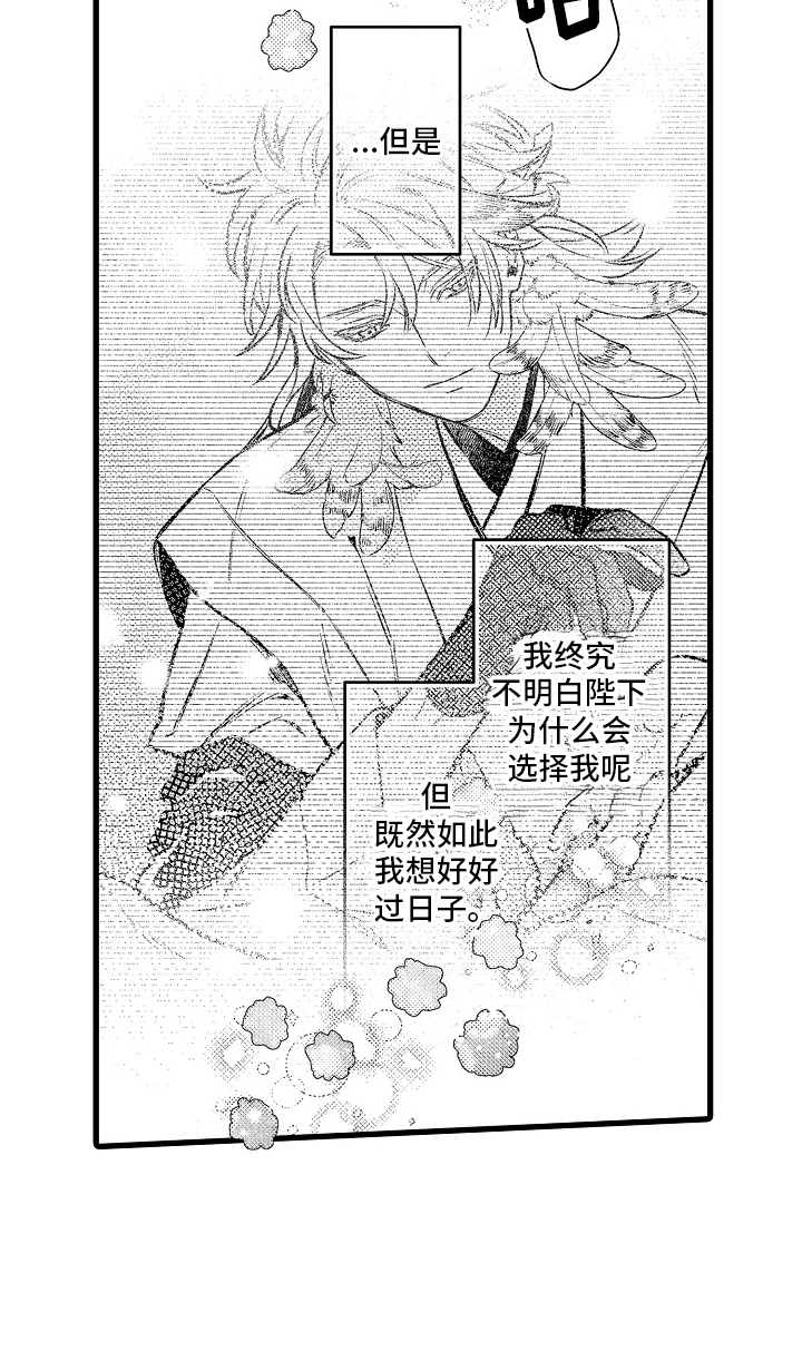 鹰王宠妻正版小说漫画,第2话1图