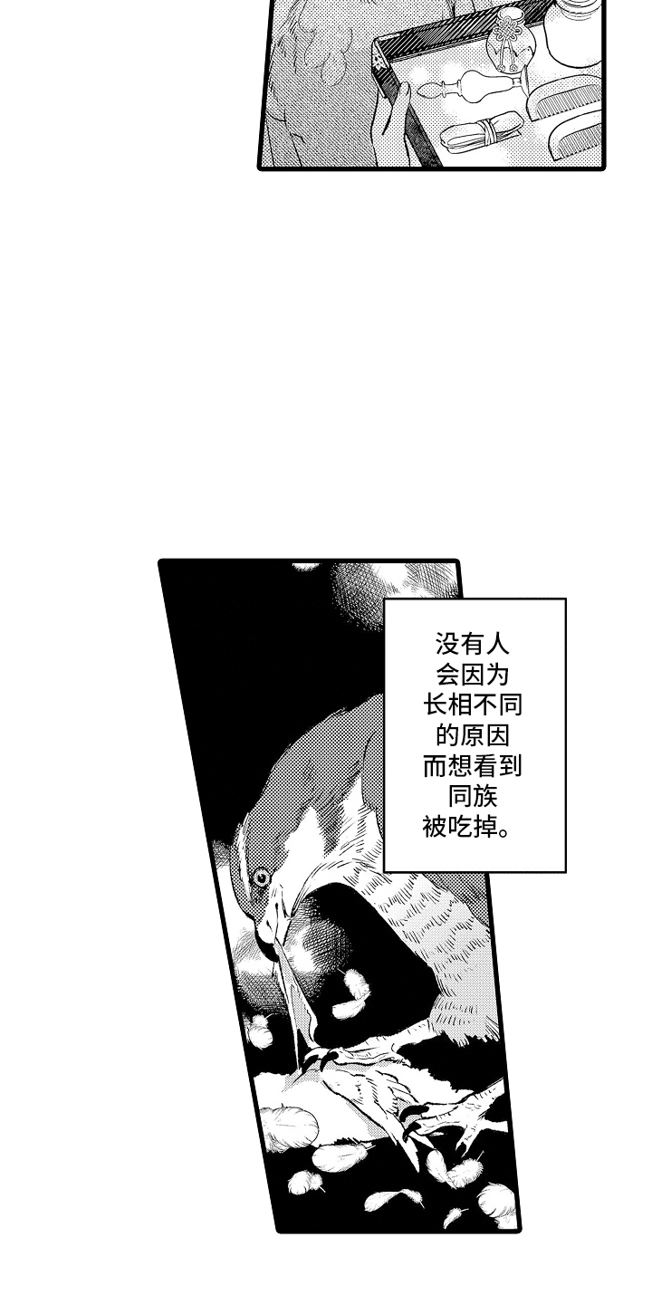 鹰王宠妻正版小说漫画,第2话2图