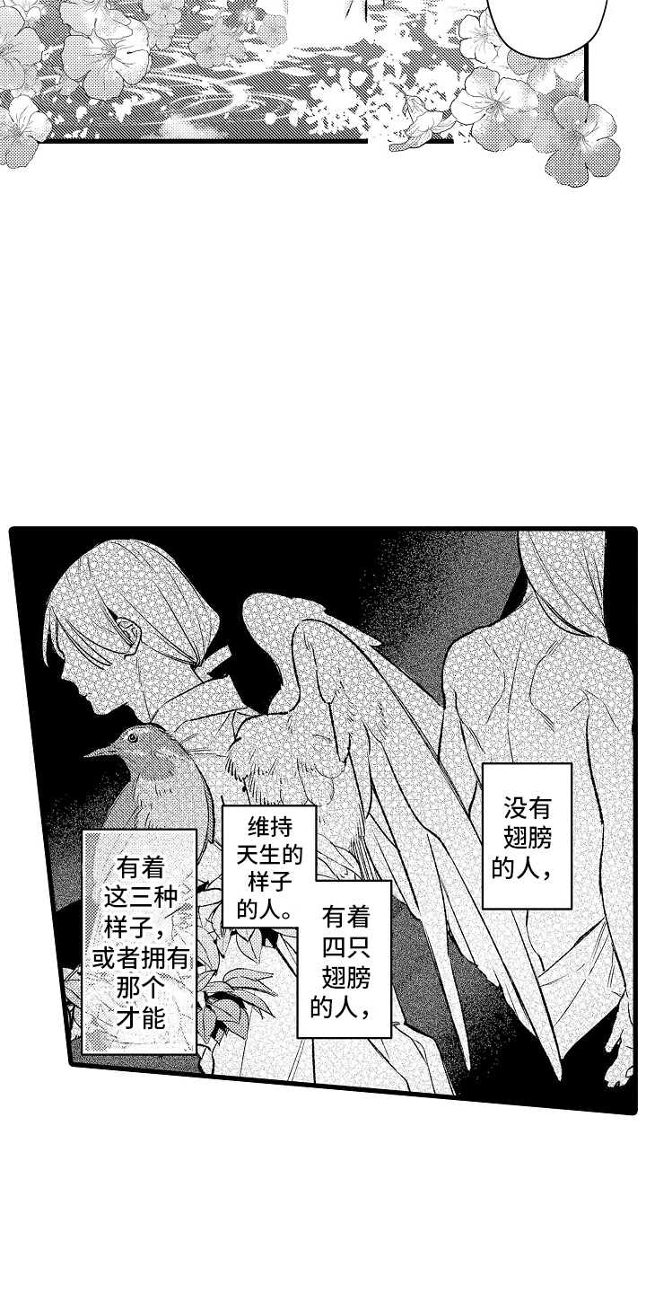 鹰王宠妻正版小说漫画,第2话1图