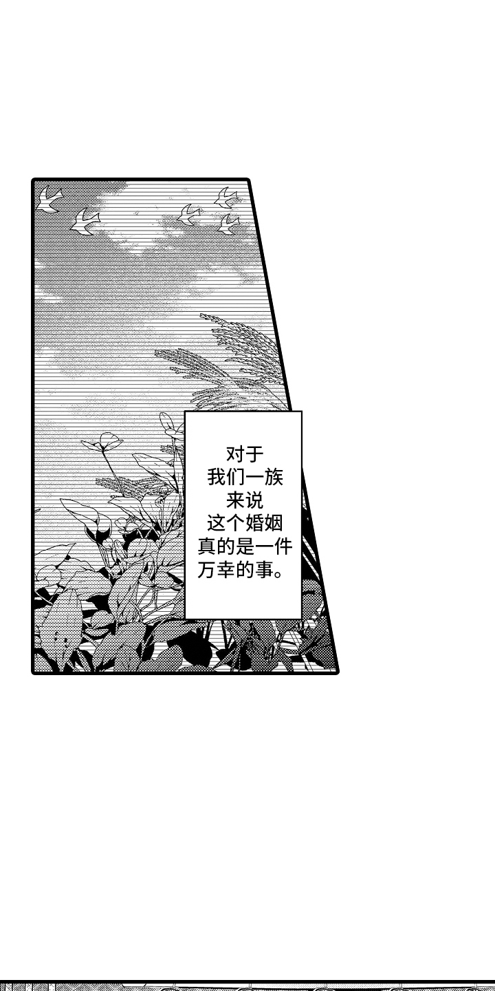 鹰王宠妻正版小说漫画,第2话1图