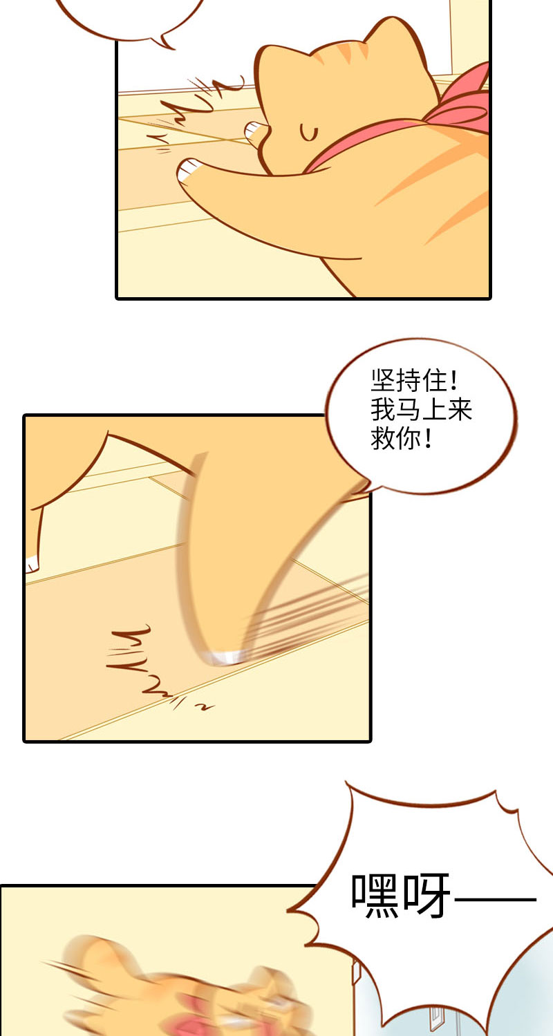 猫咪的人类饲养指南漫画,第14话 泡澡2图