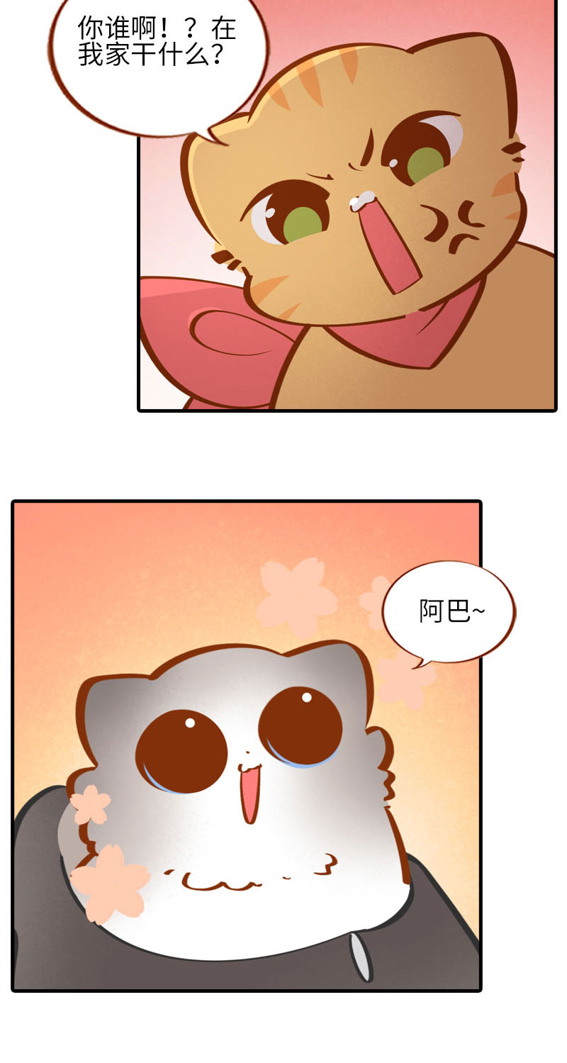 猫咪的人类饲养指南漫画,第36话 橘子！地位不保？！2图