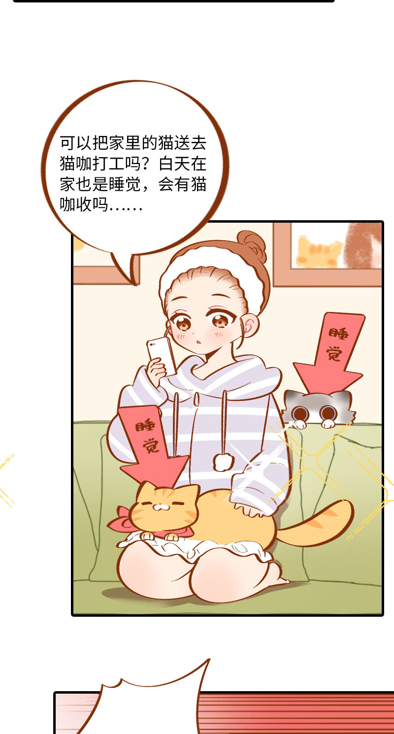 猫咪的人类饲养指南漫画,第4话 差点去猫咖打工1图