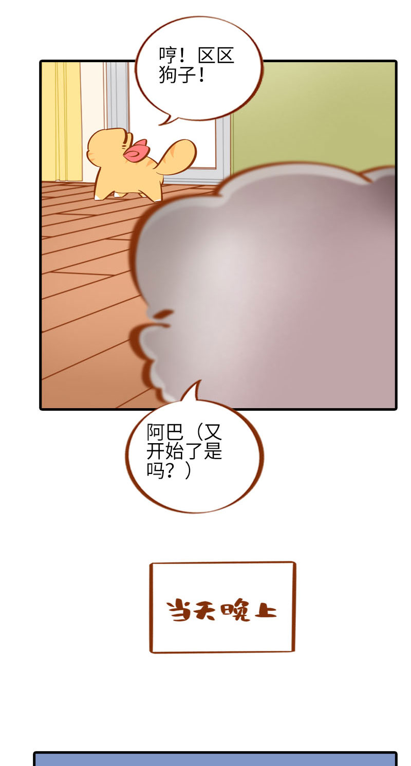 猫咪的人类饲养指南漫画,第40话 养狗一日体验1图