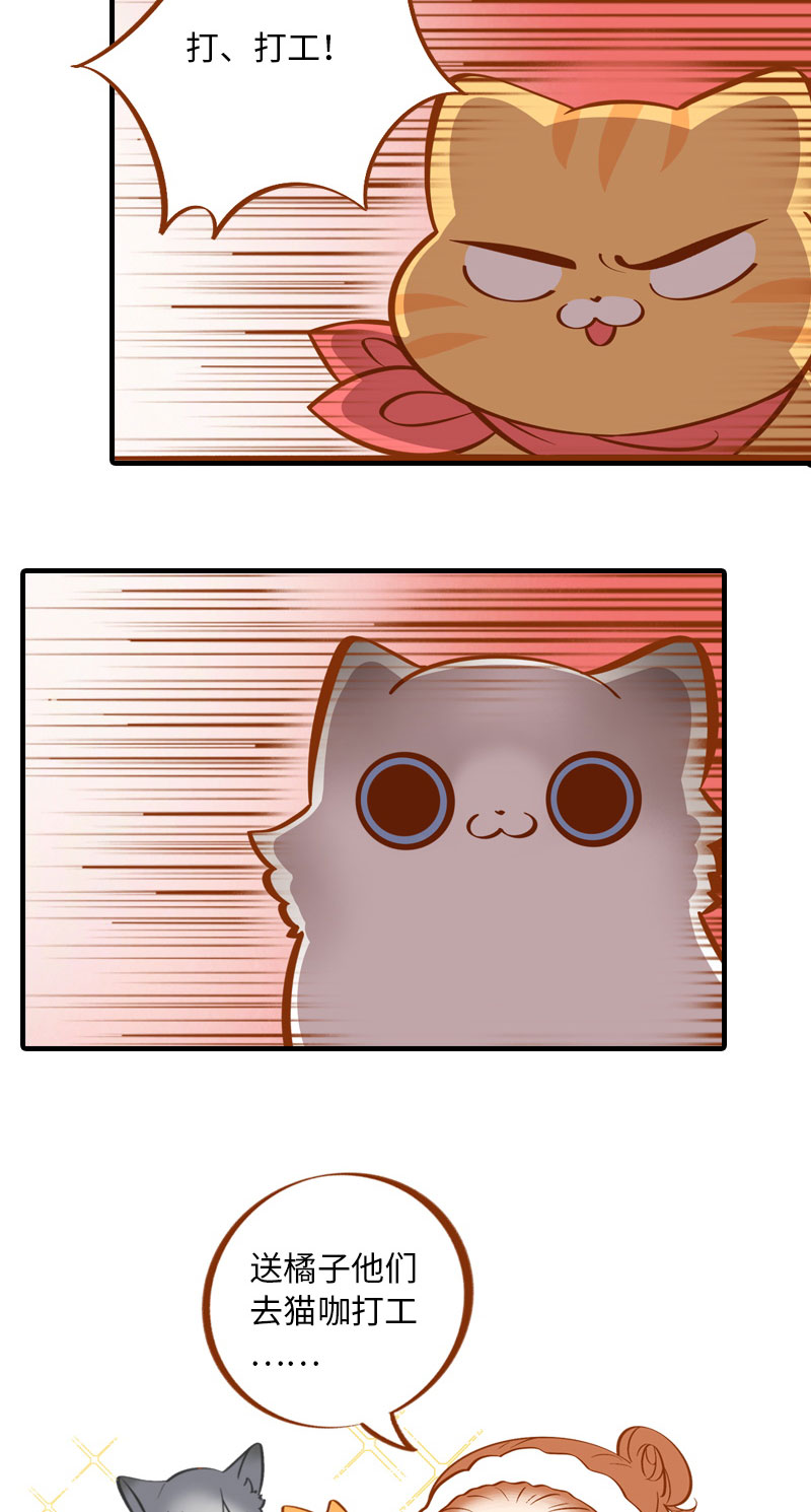 猫咪的人类饲养指南漫画,第4话 差点去猫咖打工2图