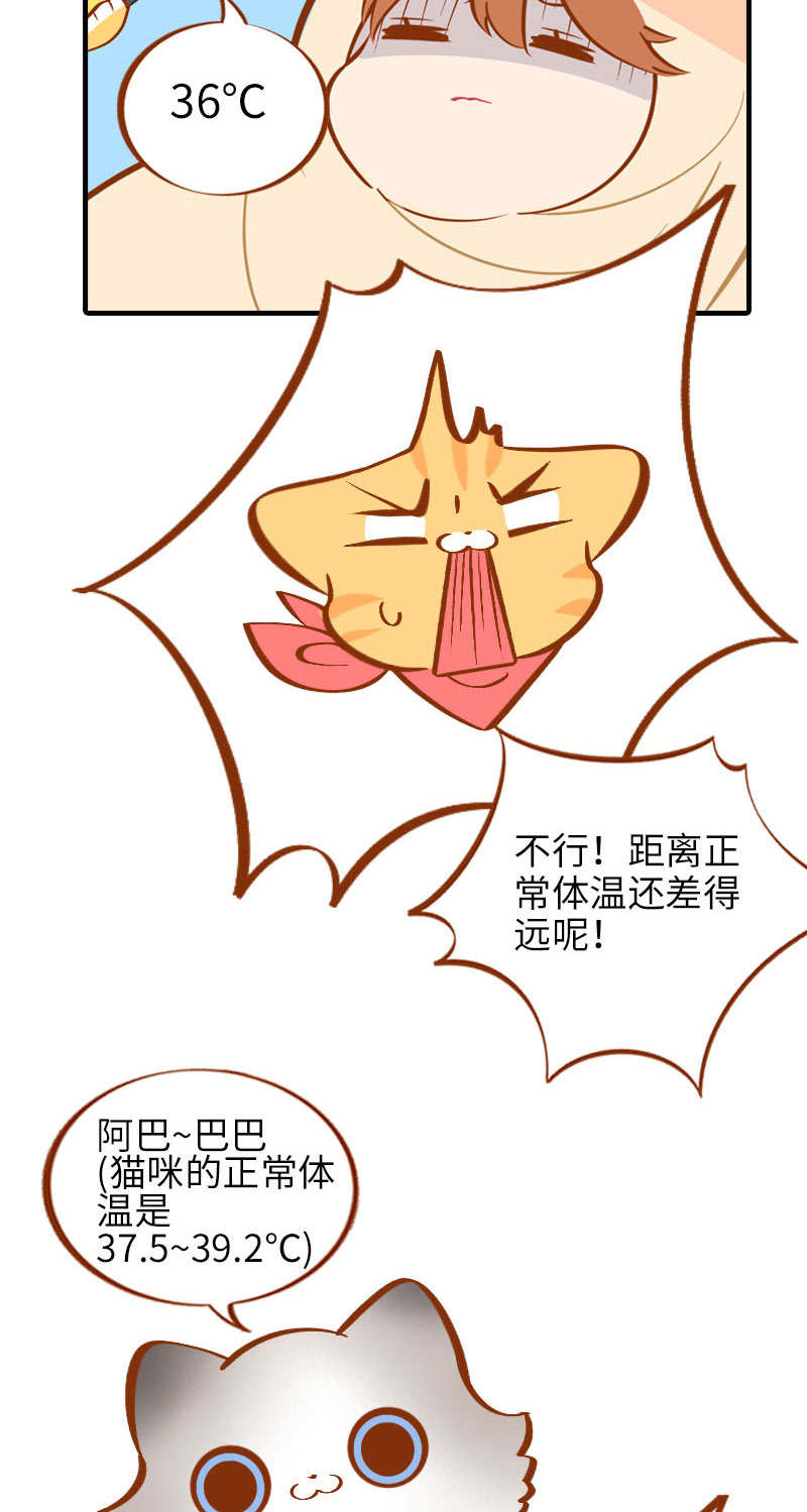 猫咪的人类饲养指南女主和医生cp漫画,第15话 感冒2图