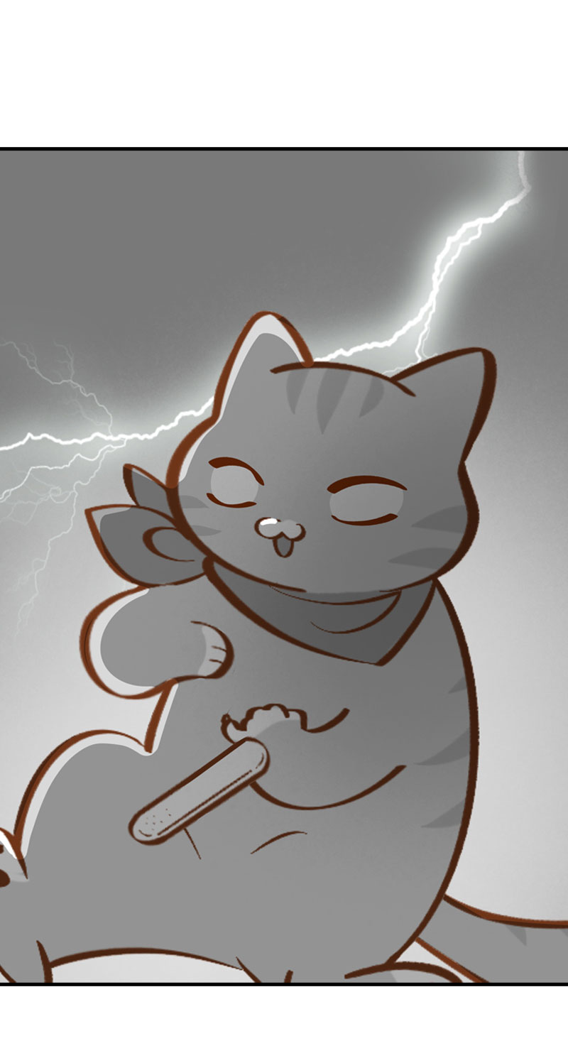 猫咪的人类饲养指南漫画,第7话 你认错了吗？1图