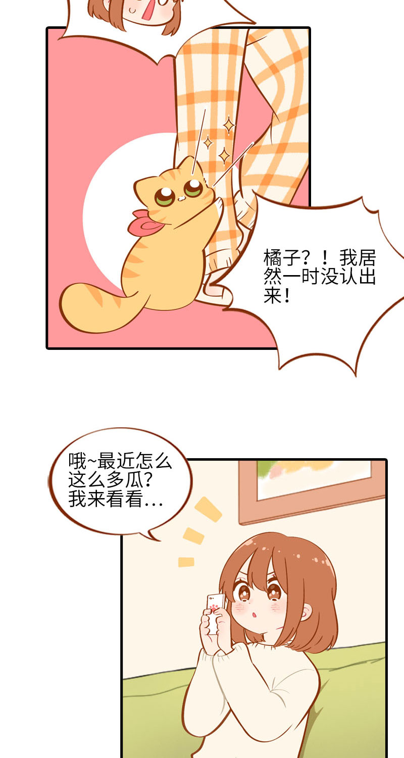 猫咪的人类饲养指南漫画,第21话 橘子黑历史1图
