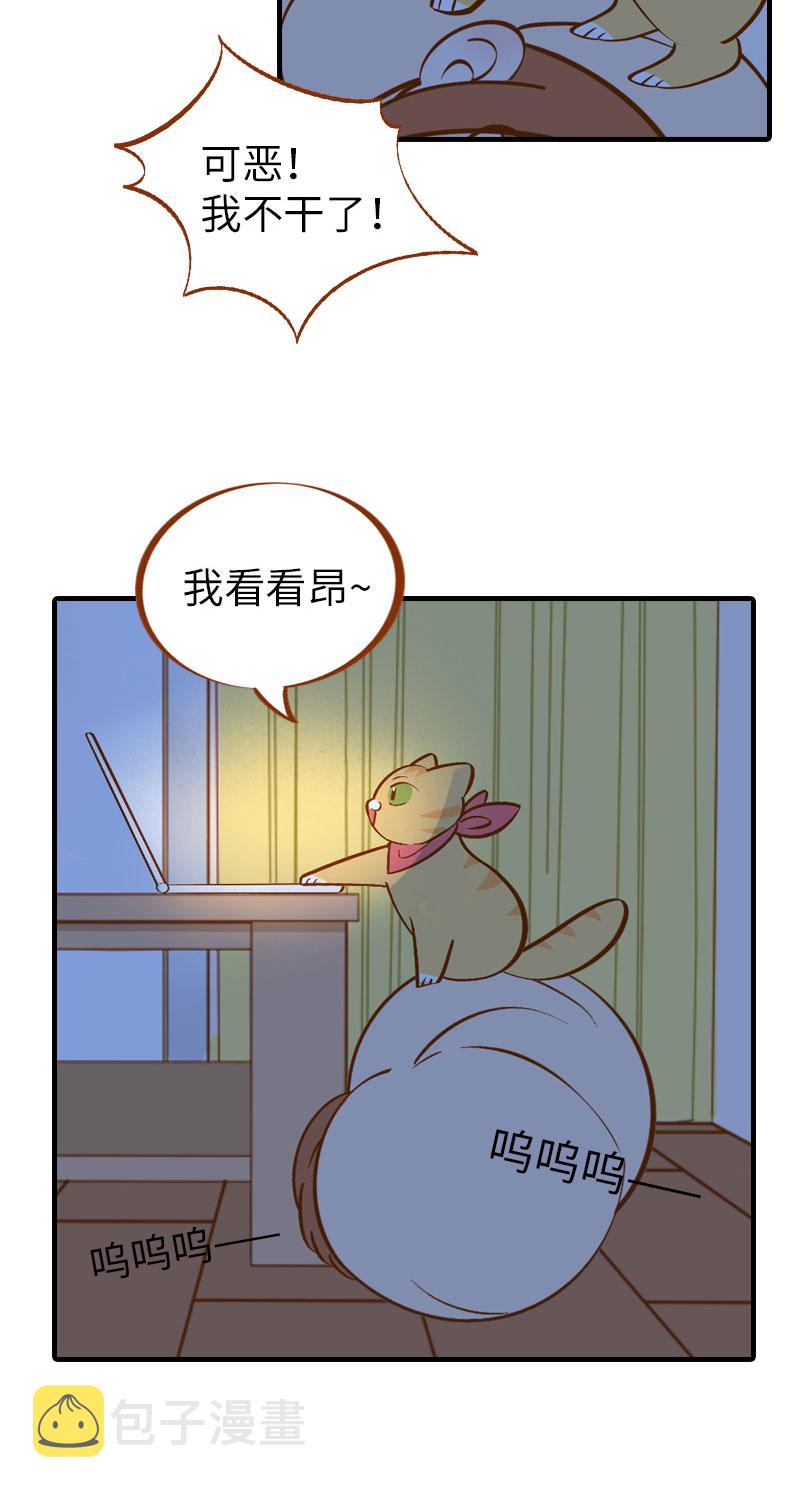 猫咪的人类饲养指南女主和医生cp漫画,第9话 橘子：甲方克星1图