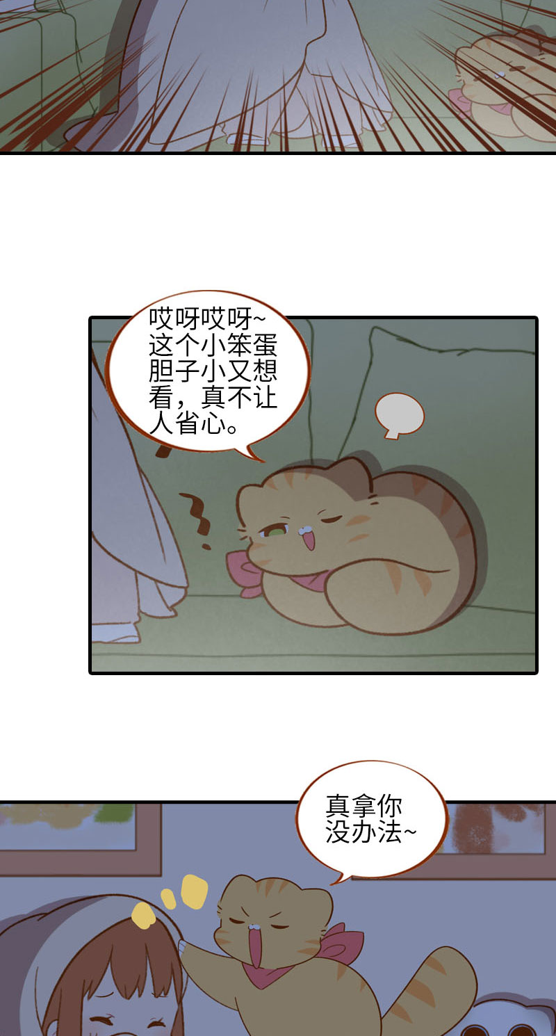 猫咪的人类饲养指南漫画,第60话 橘子陪你看恐怖片（完结）2图