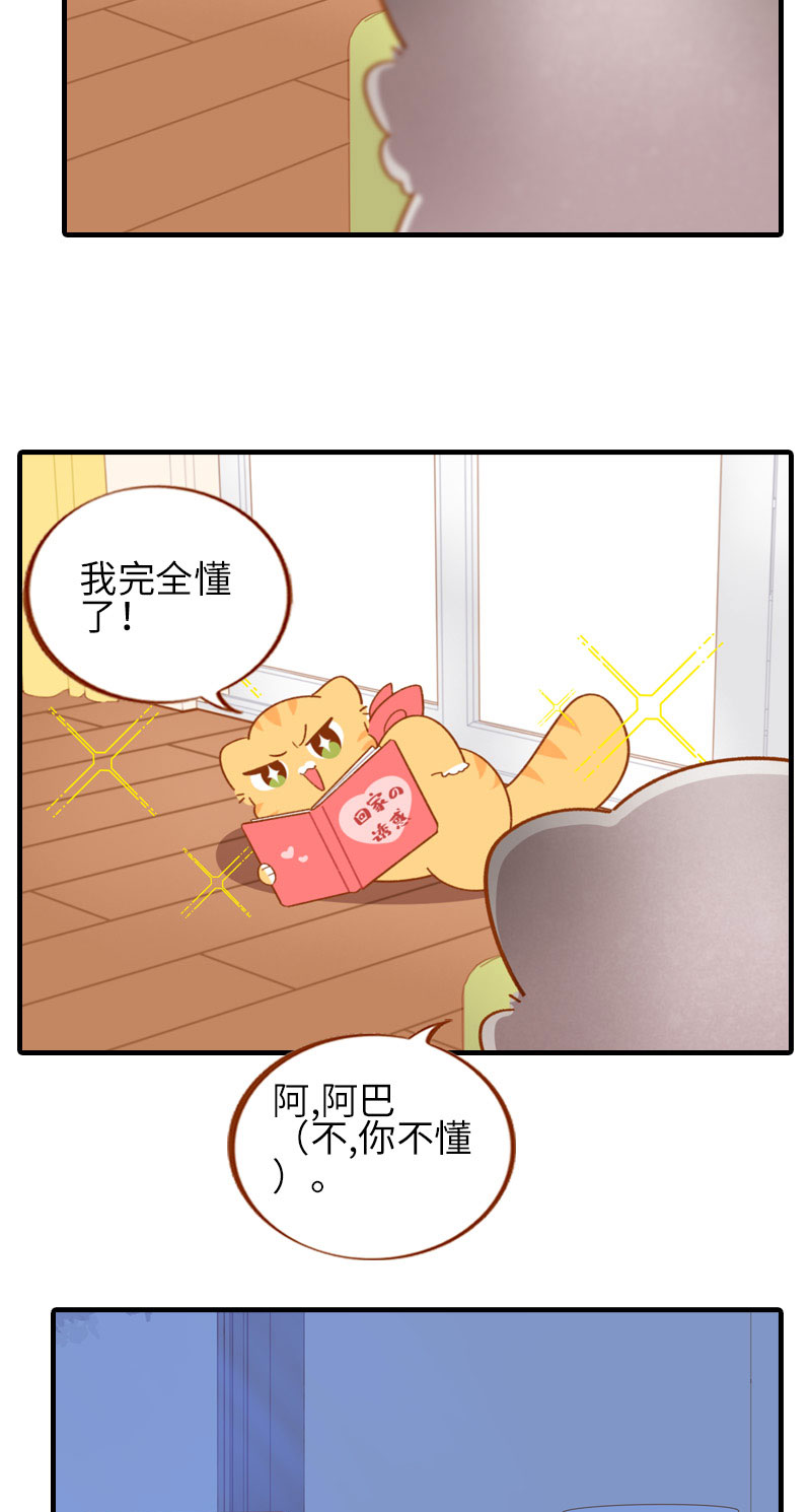 猫咪的人类饲养指南漫画,第52话 橘爷深夜嘿嘿嘿…2图