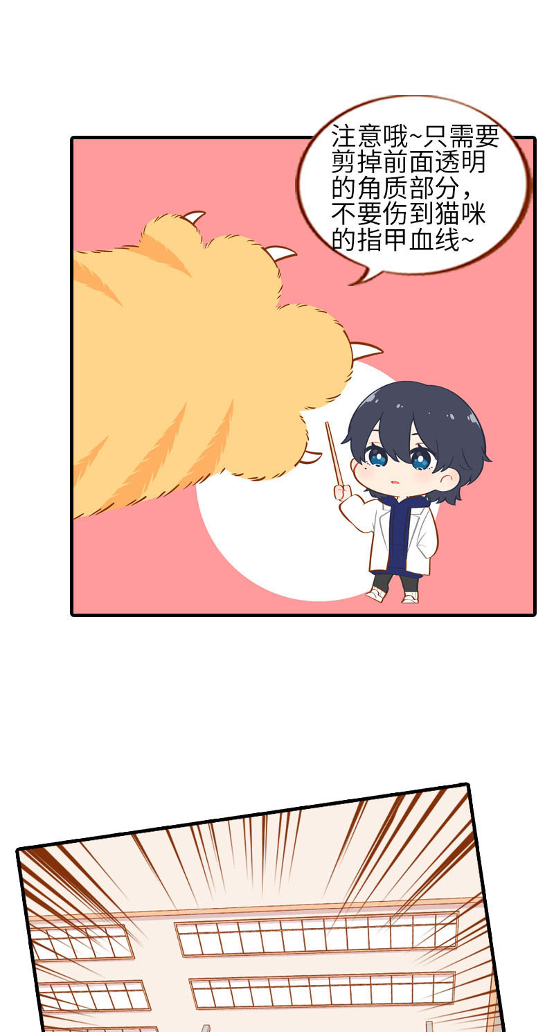 猫咪的人类饲养指南女主和医生cp漫画,第19话 剪指甲2图