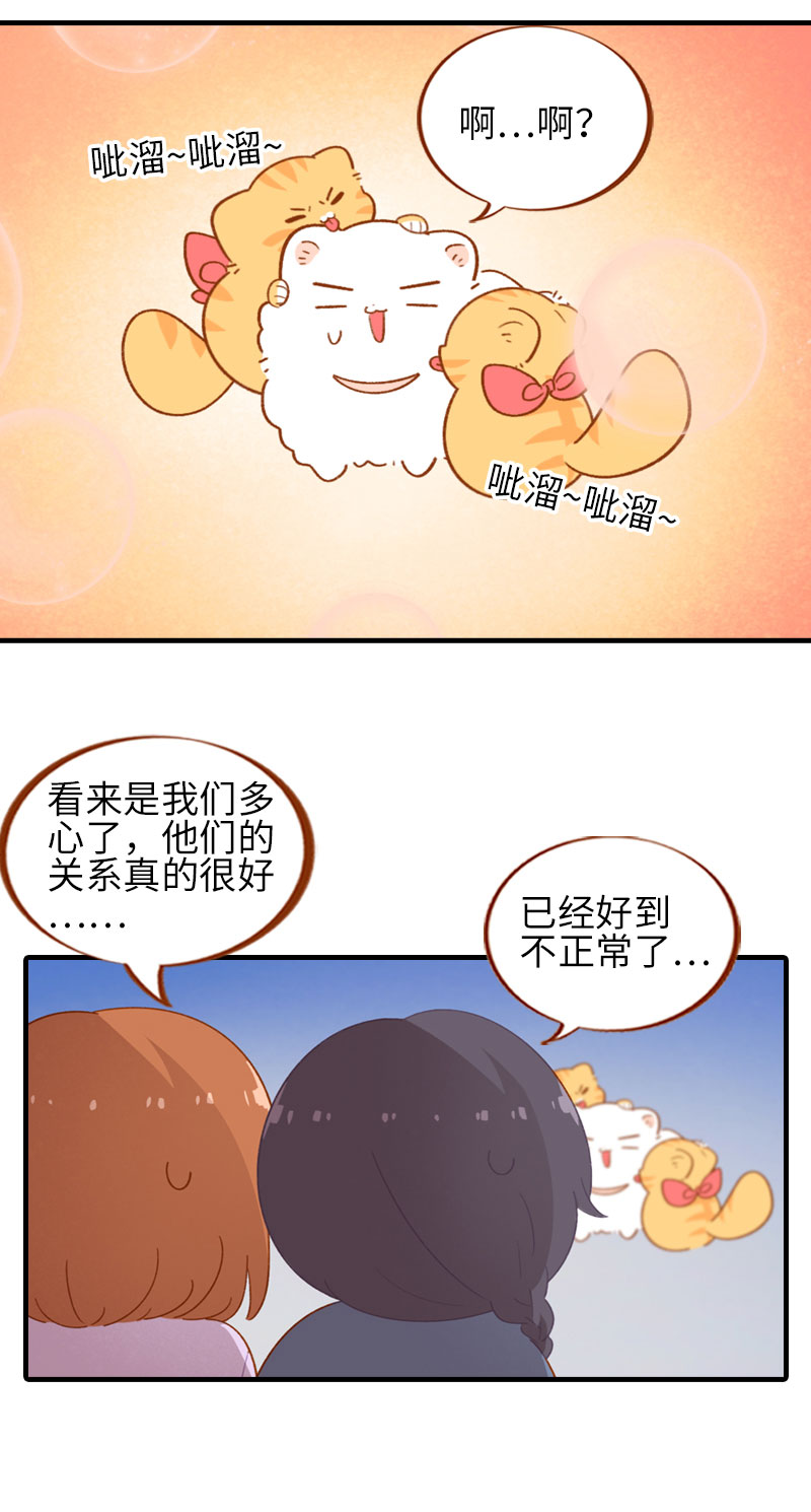 猫咪的人类饲养指南漫画,第55话 短腿团子来家做客！1图