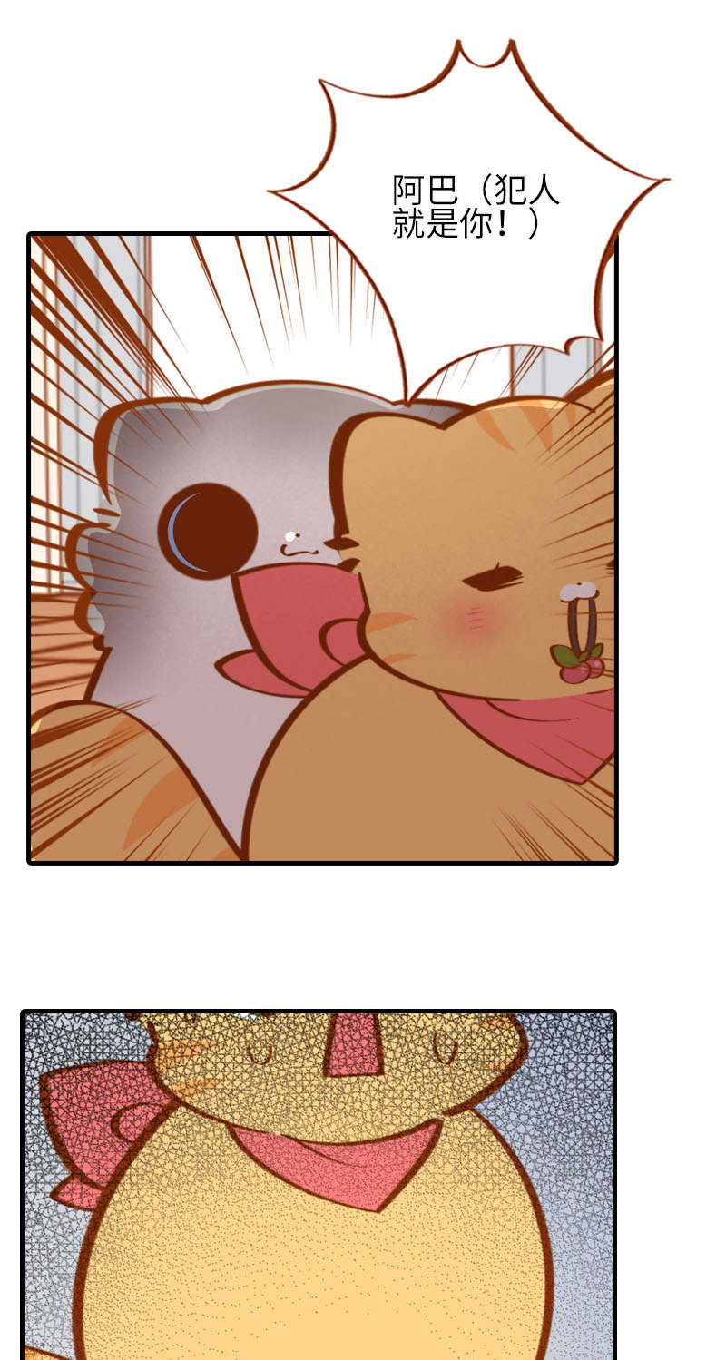 猫咪的人类饲养指南漫画,第39话 收手吧阿橘！2图