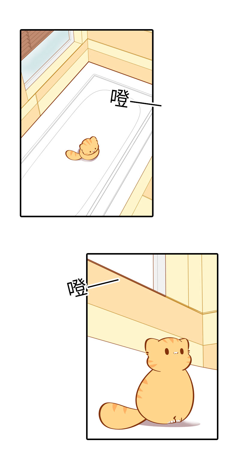 猫咪的人类饲养指南漫画,第30话 一年一度洗澡日2图