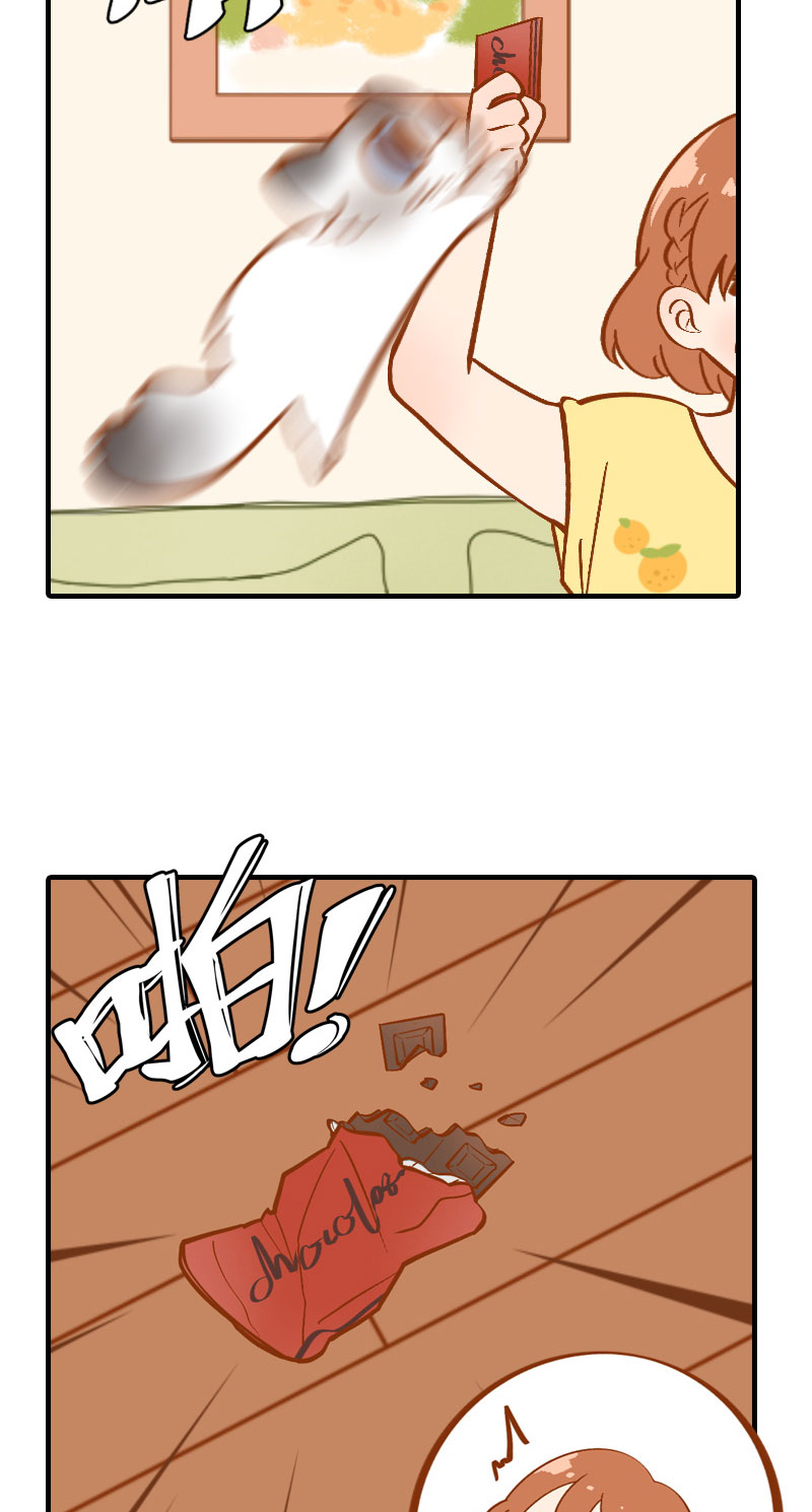 猫咪的人类饲养指南女主和医生cp漫画,第3话 不是我要吃肉是你吃蔬菜2图