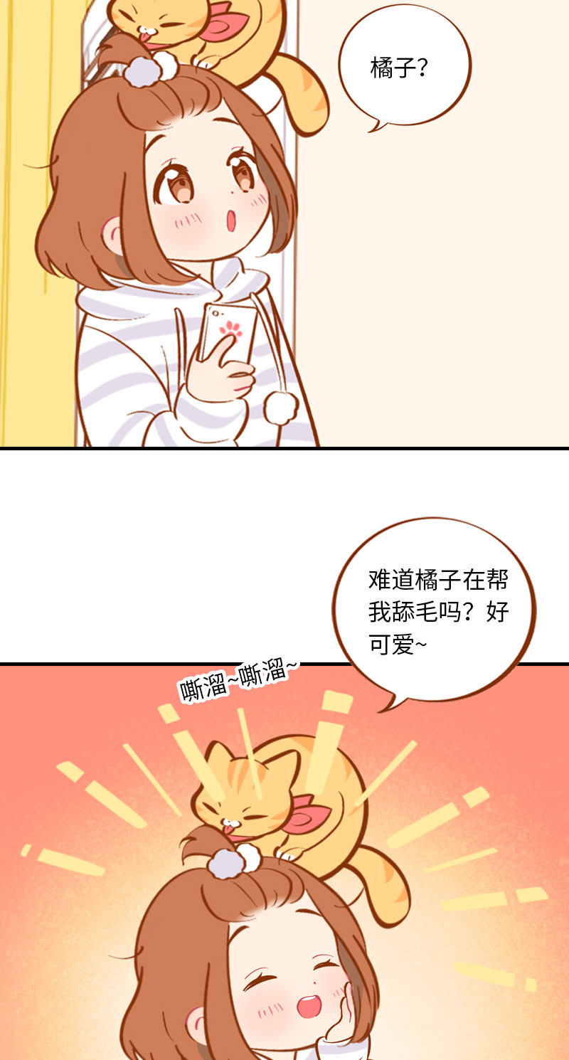 猫咪的人类饲养指南女主和医生cp漫画,第6话 Tony橘开始洗头2图